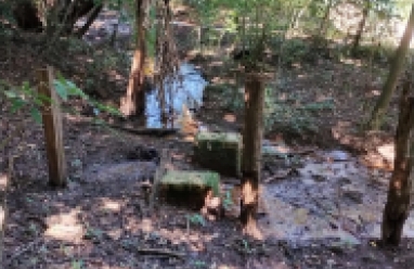 Sítio para venda em Avaré